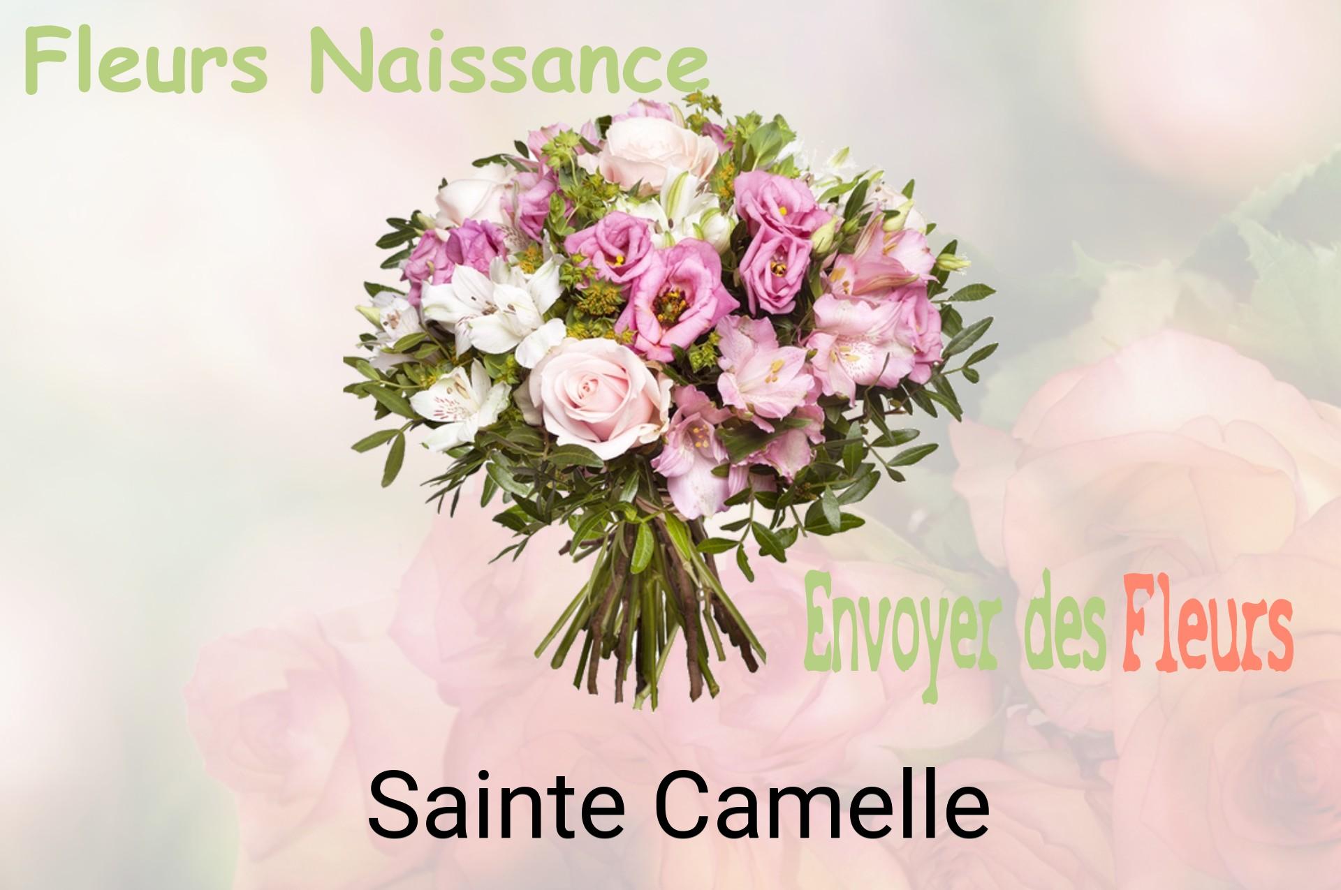 Bouquet de fleurs de naissance livré à Sainte-Camelle