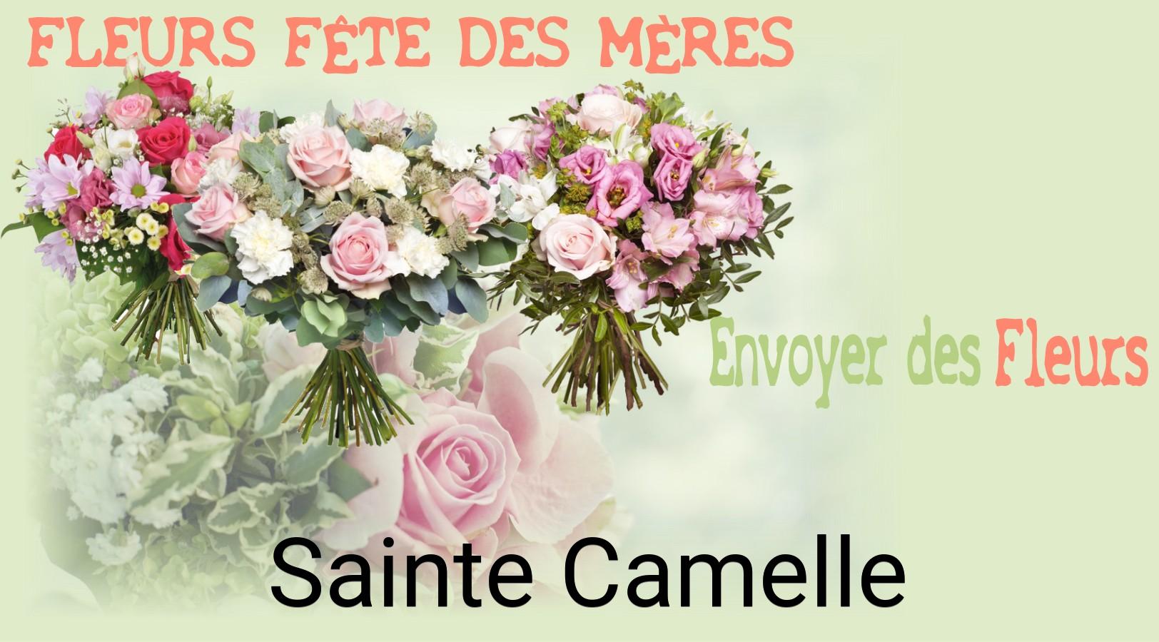Bouquet de Fête des Mères livré à Sainte-Camelle